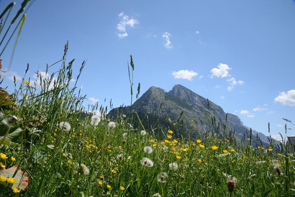 Der Alpenblick Hotel ซังค์โยฮันน์อิมพองเกา ภายนอก รูปภาพ
